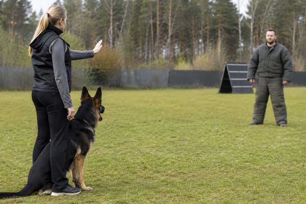 Köpeklerin Sahiplerini Koruma İçgüdüsünü Tetikleyen Eğitim Teknikleri